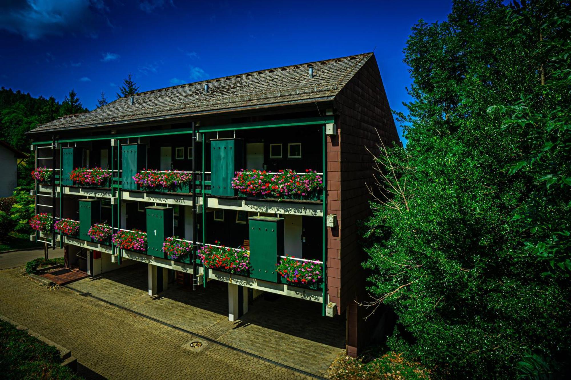 Natur Tanken Im Schwarzwald Sasbachwalden Bagian luar foto