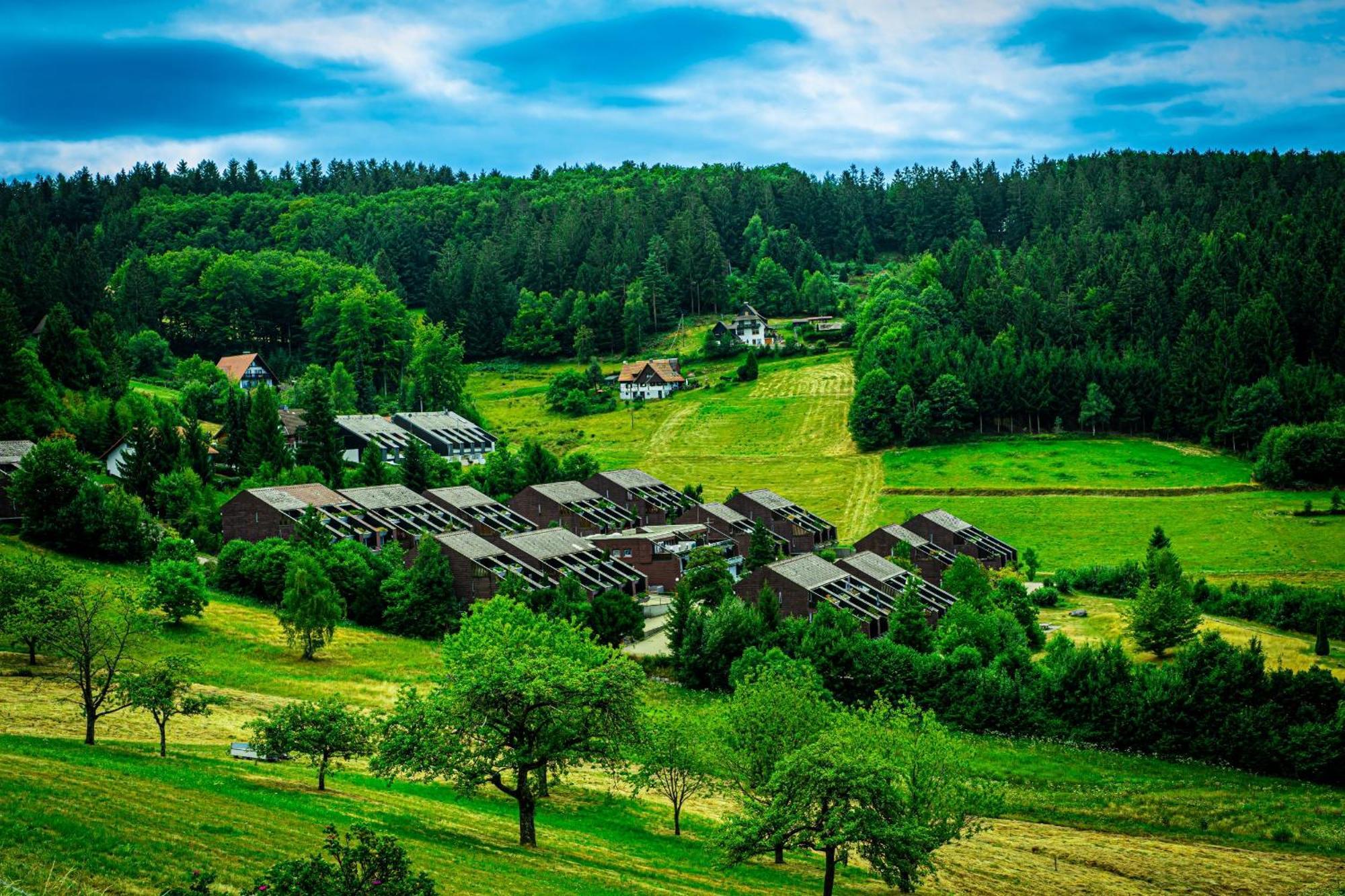 Natur Tanken Im Schwarzwald Sasbachwalden Bagian luar foto